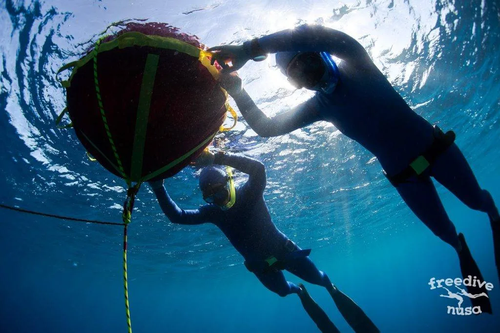 freediving training exercises snorkeling tour nusa penida