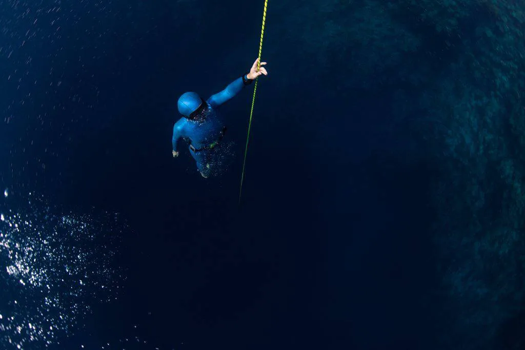 Free Immersion Specialty