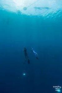 training for freediving dive nusa penida