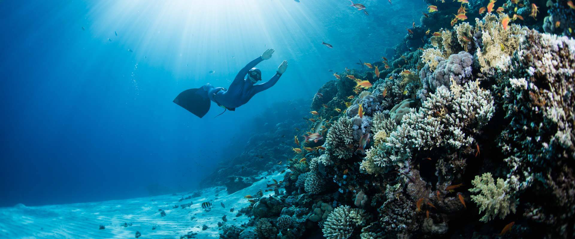 Freedive Nusa Penida