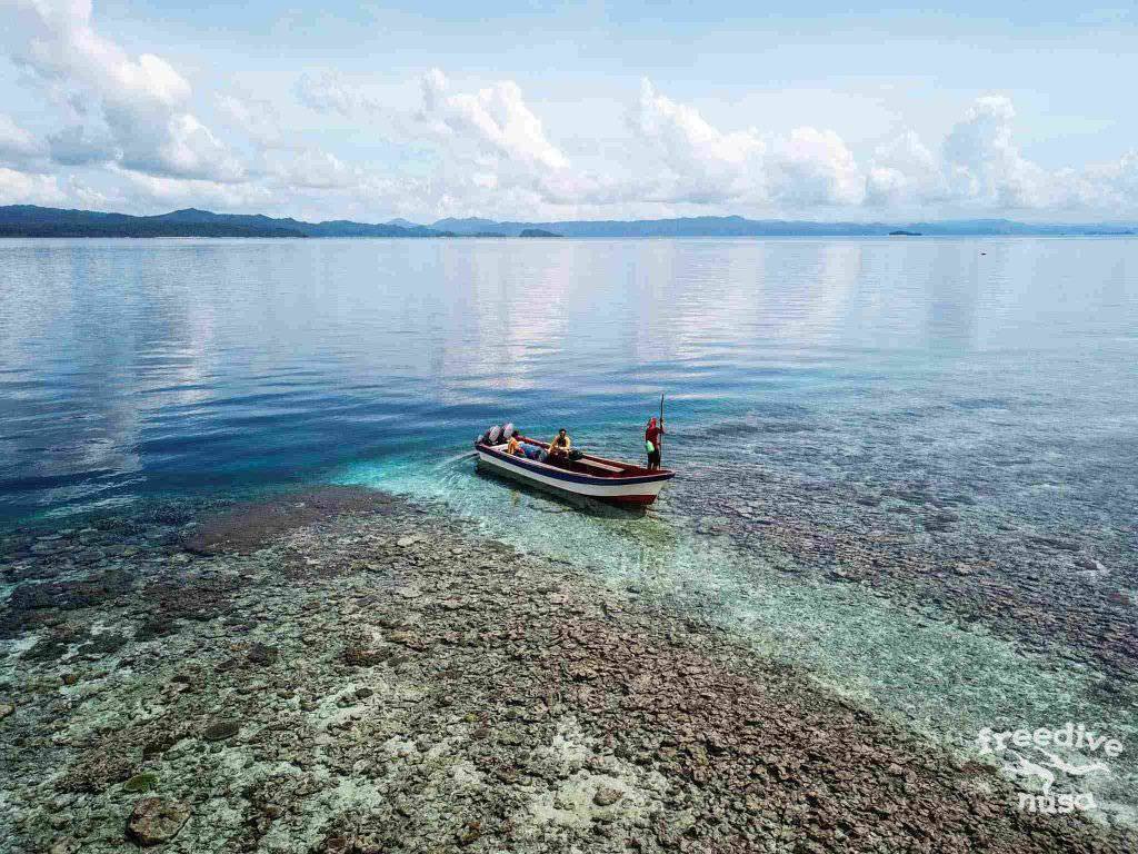 Freedive Safari to Raja Ampat