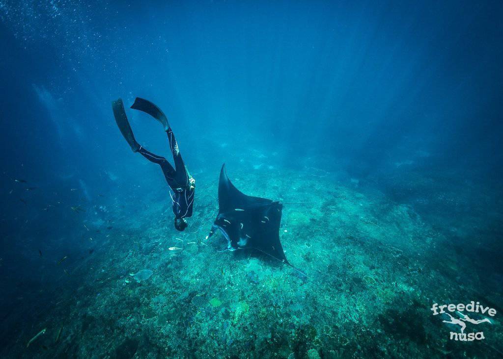 Snorkeling with Manta Rays on Nusa Penida