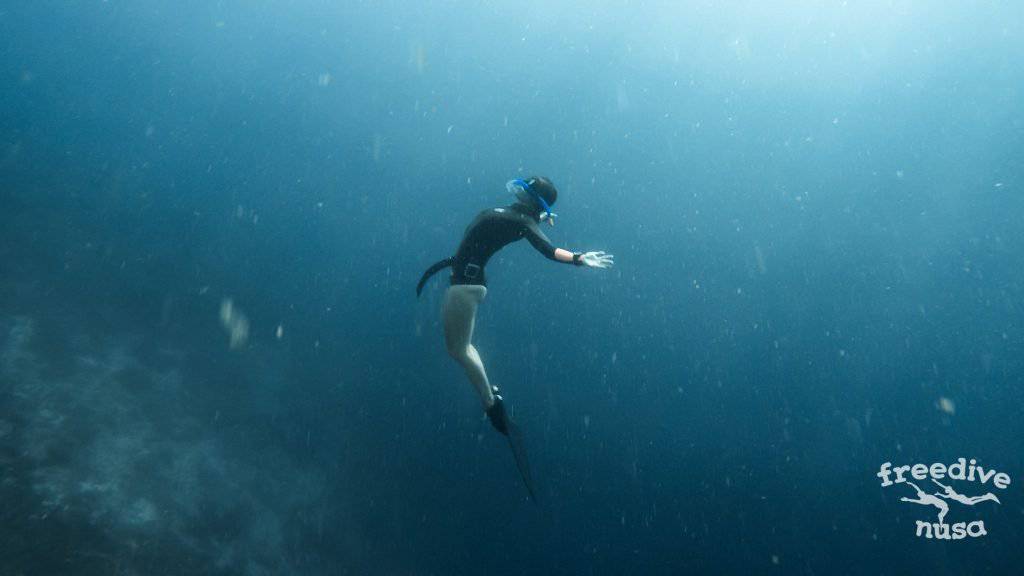 Freedive Safari to Raja Ampat