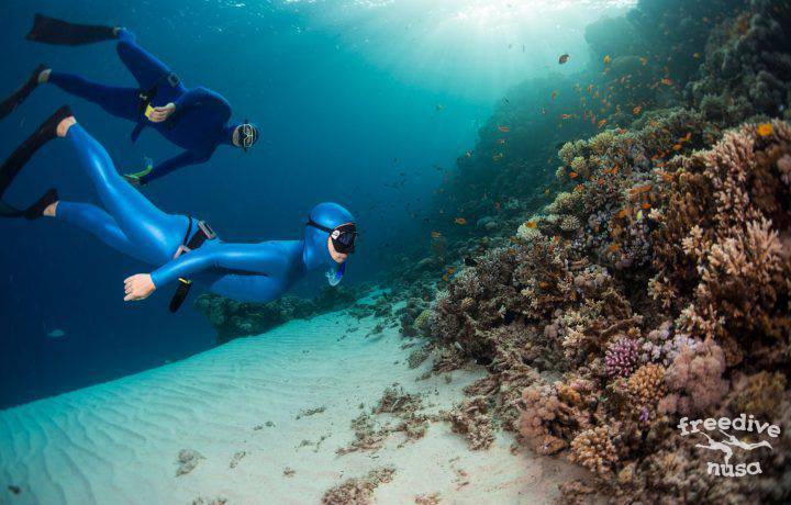What is freediving