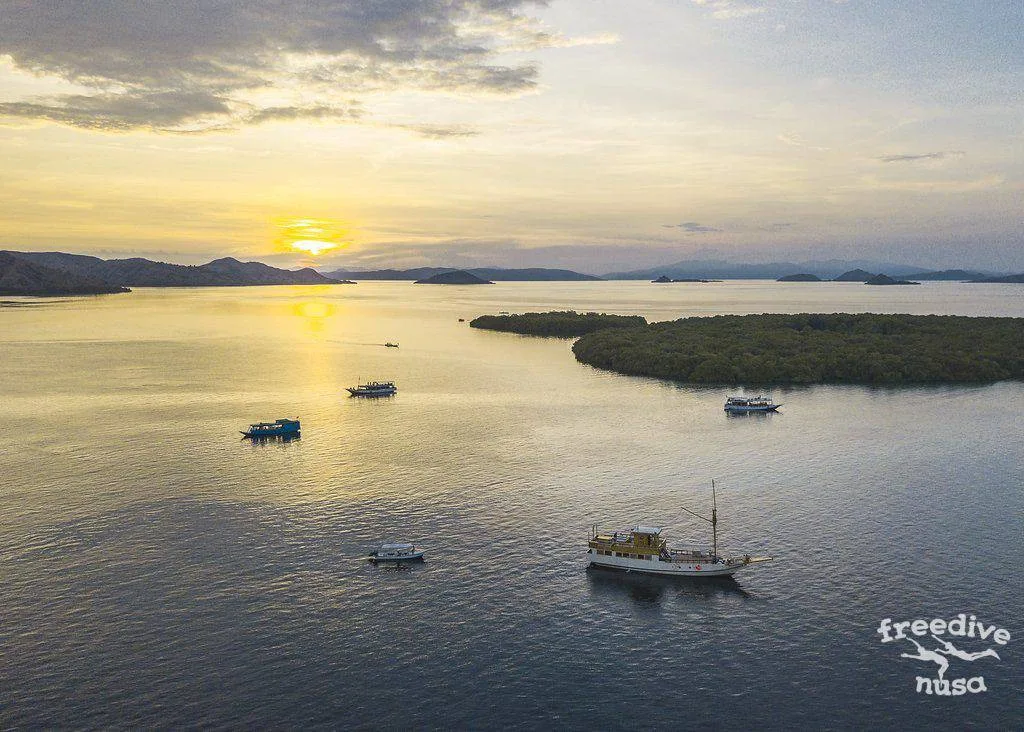 Freedive Safari to Komodo