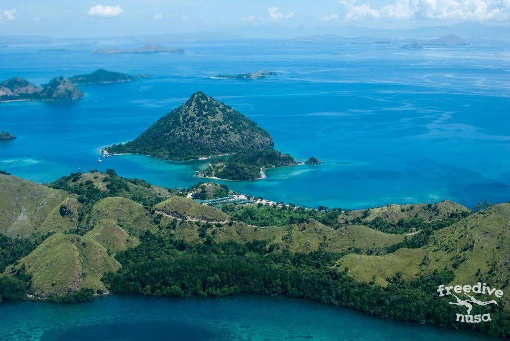 Freedive Safari to Komodo