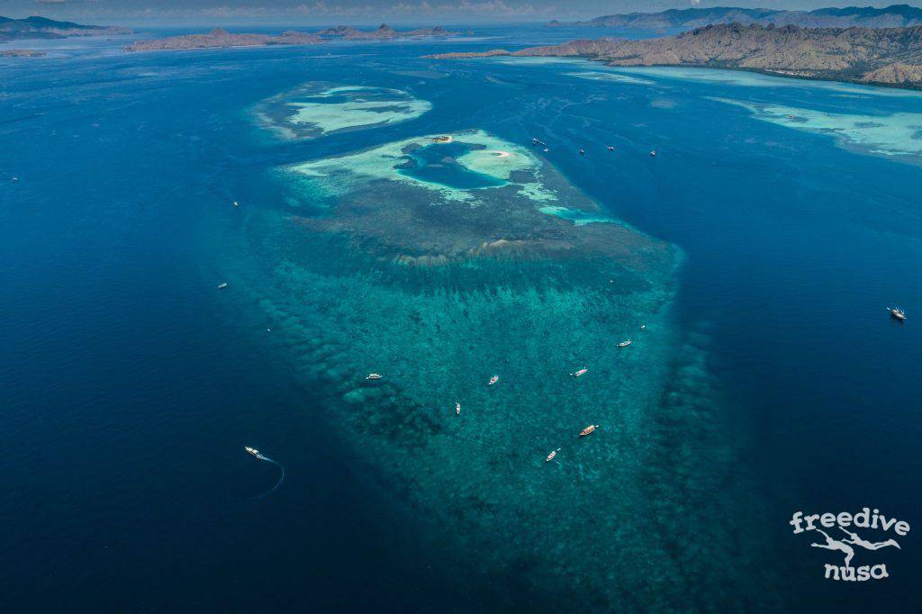 Freedive Safari to Komodo