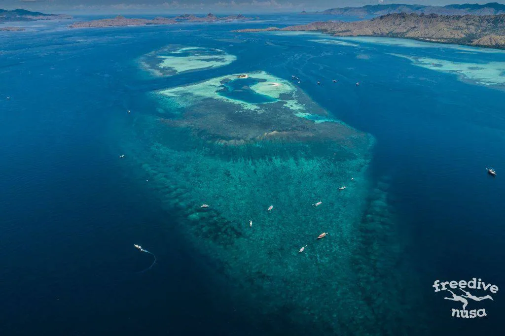 Freedive Safari to Komodo