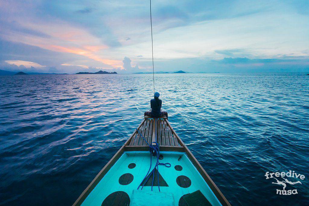 Freedive Safari to Komodo