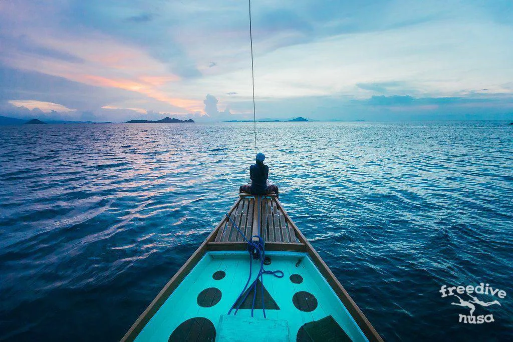 Freedive Safari to Komodo