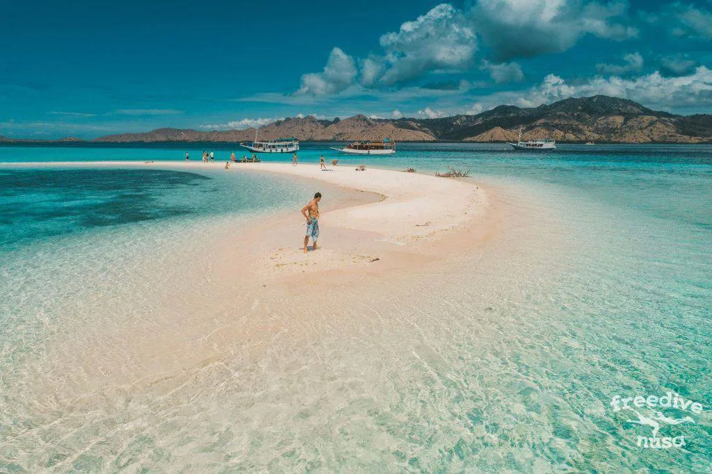 Freedive Safari to Komodo