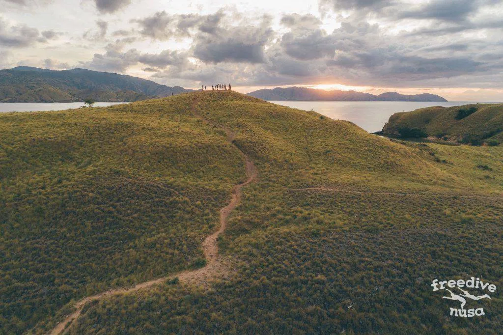 Freedive Safari to Komodo