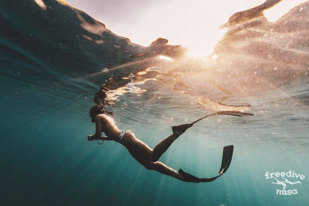 Freedive Safari to Komodo