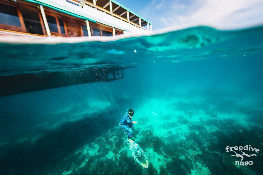 Freedive Safari to Komodo