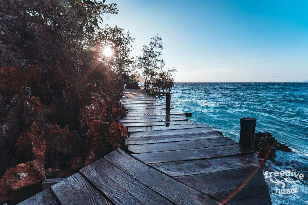 Freedive Trip to Raja Ampat