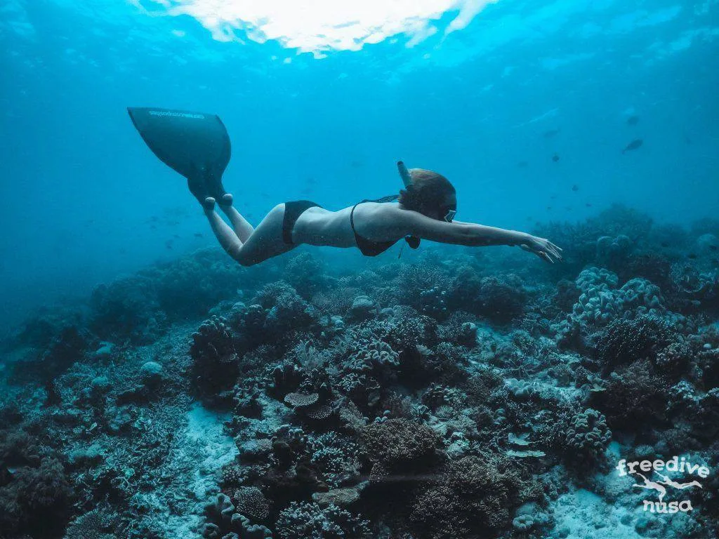 Freedive Trip to Raja Ampat