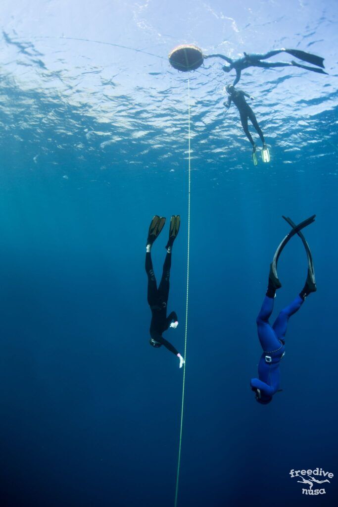 Top 5 Reasons to Start Freediving - Oceanic Worldwide