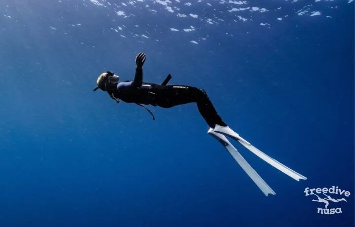 Basic Freediving Course