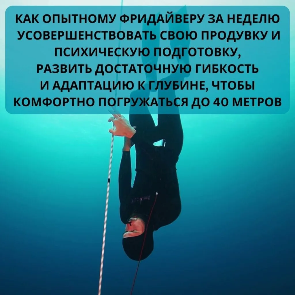 фридайвинг френзель
