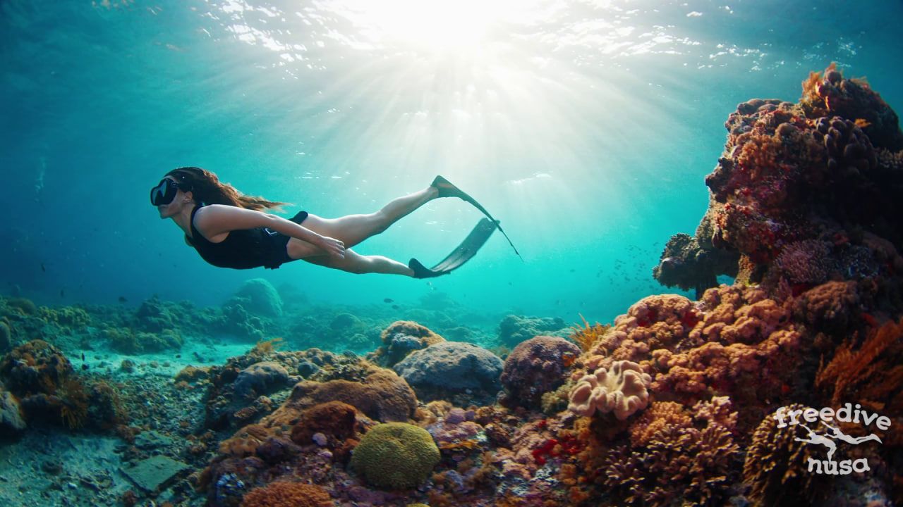 freediving in Alor