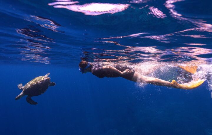 Beginner Snorkeling Course