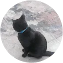 Marin Brunel Avatar