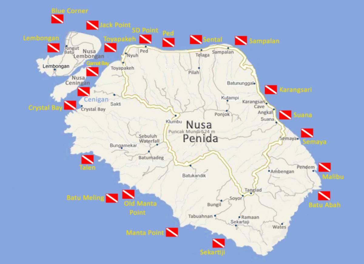 Best Activities on Nusa Penida Freedive Nusa Freediving School Best Activities on Nusa Penida Freedive Nusa Freediving School