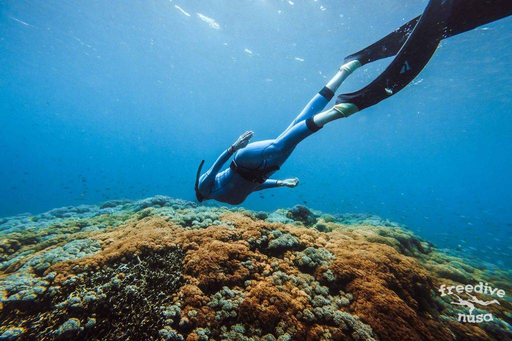 nusa penida diving