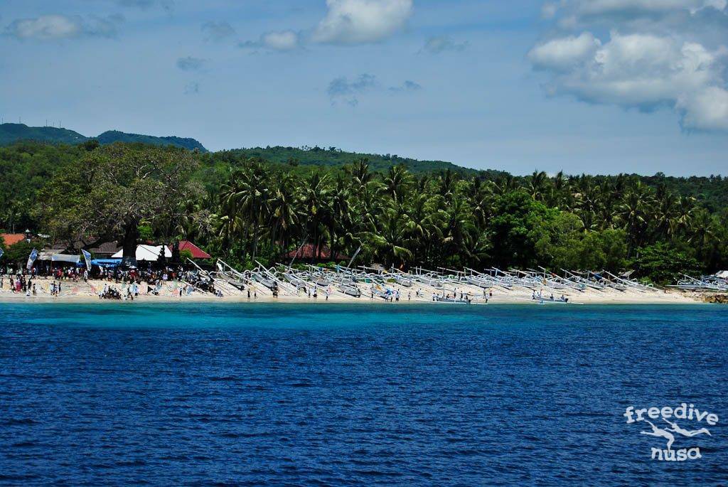 diving nusa penida