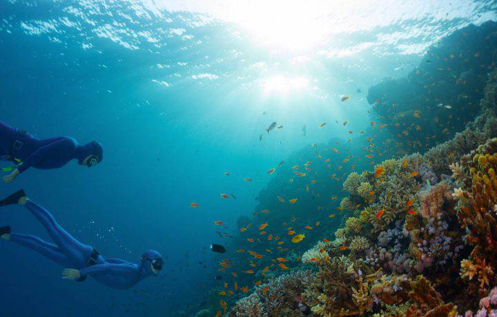 Freediving packages