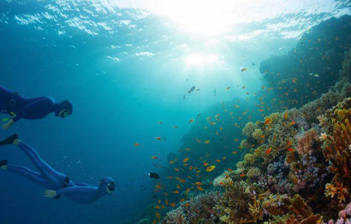 Freediving packages