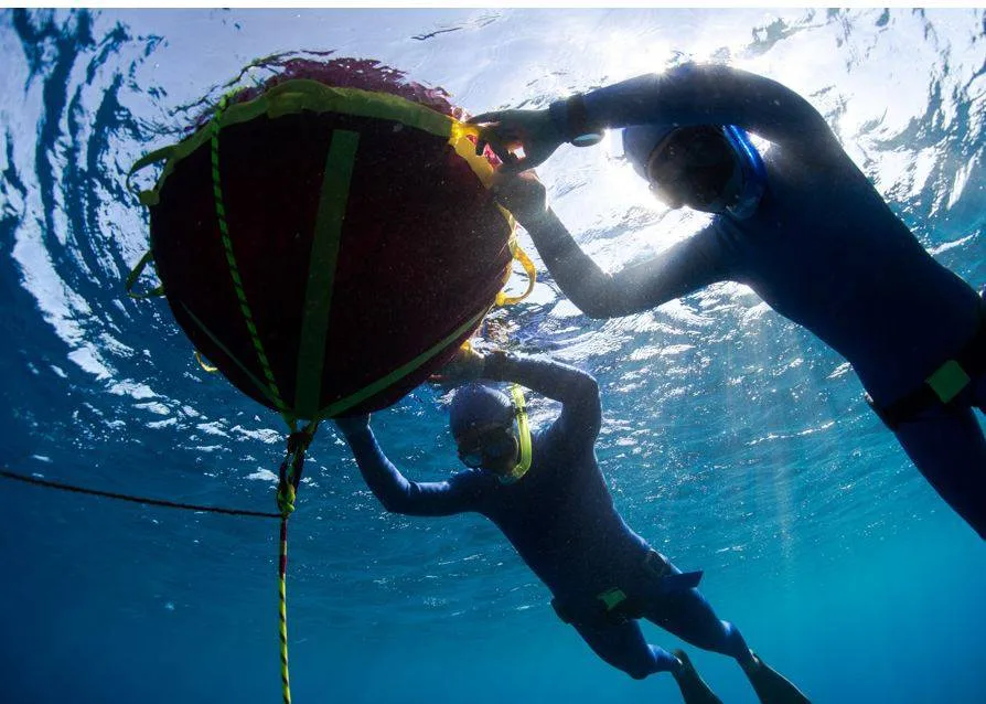 snorkeling tour nusa penida