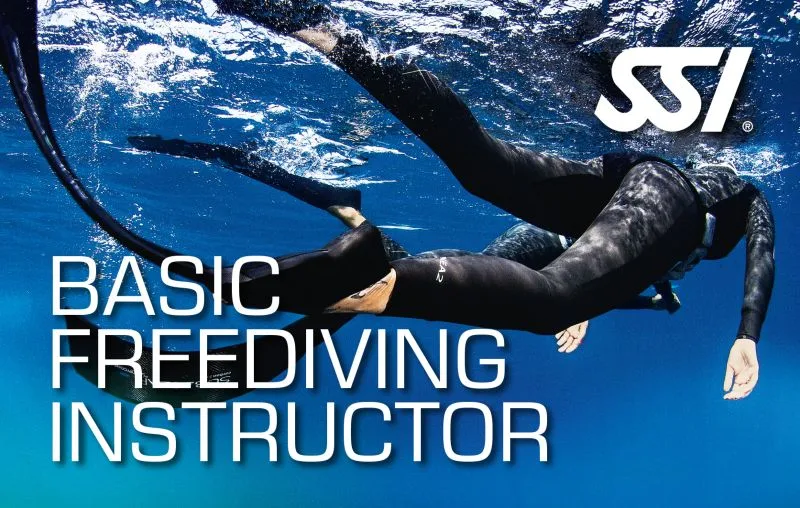 freediving instructor course