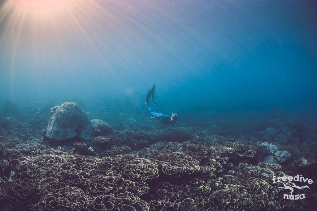 snorkeling in nusa penida