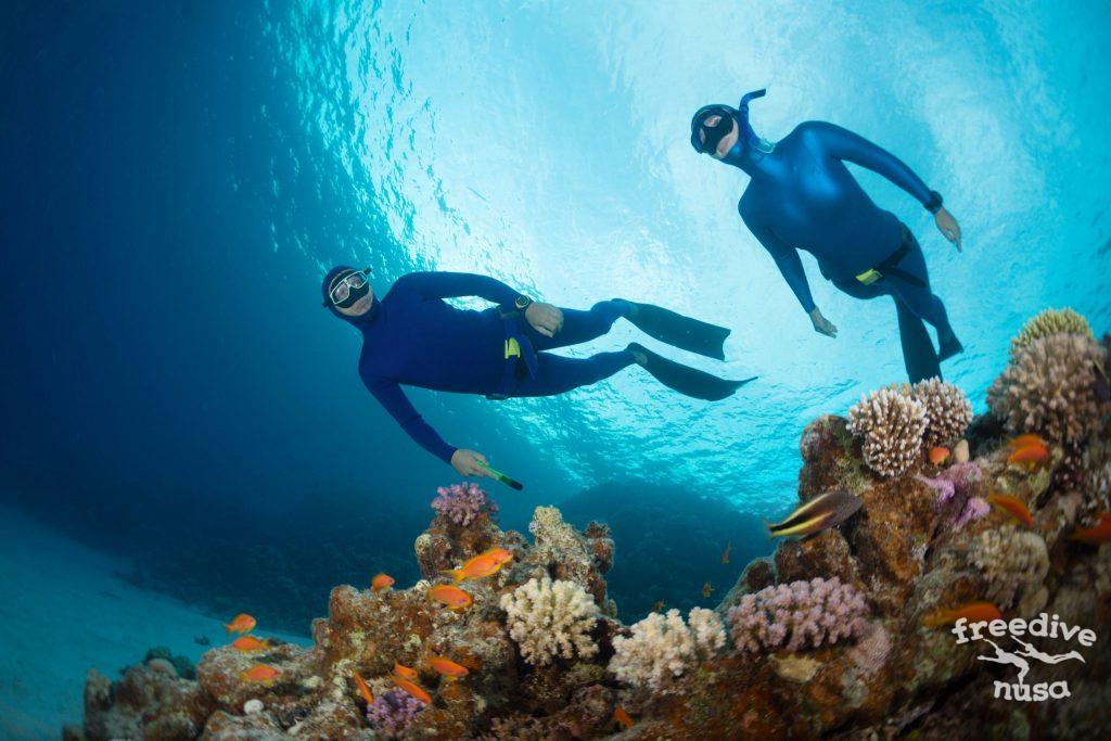 nusa penida dive