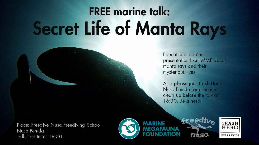 Megafauna Foundation Free Talk