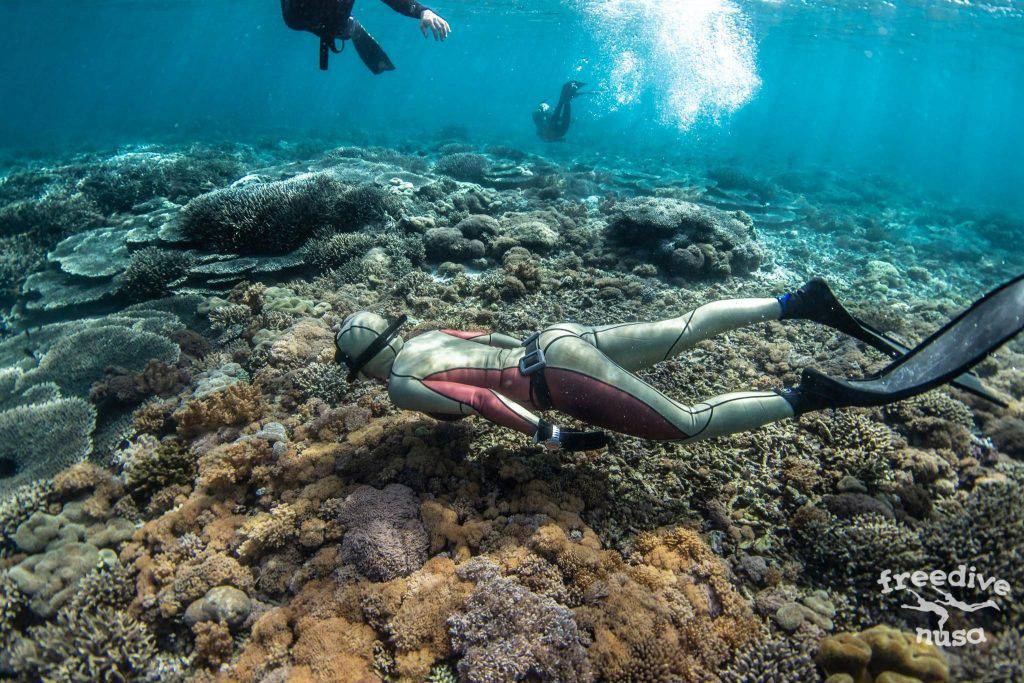 Best Dive Sites On Nusa Penida Freediving Babe In Bali Indonesia