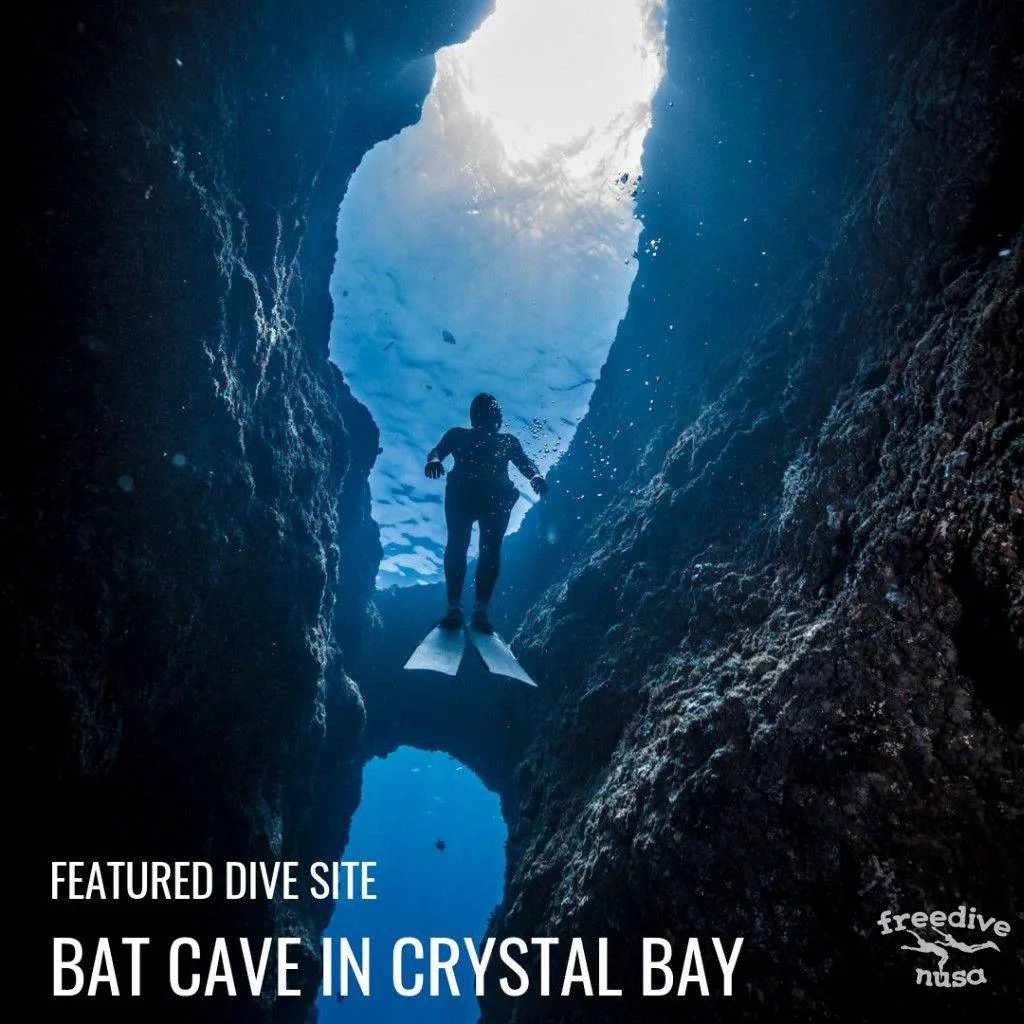 Bat Cave