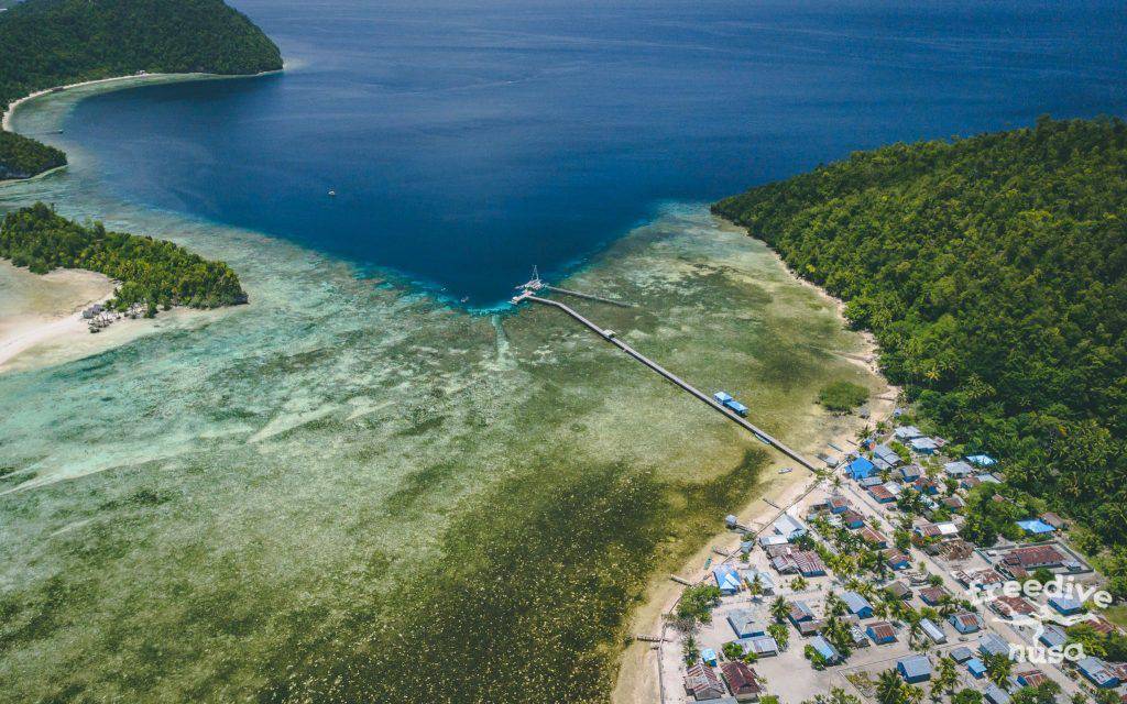 Freedive Trip to Raja Ampat