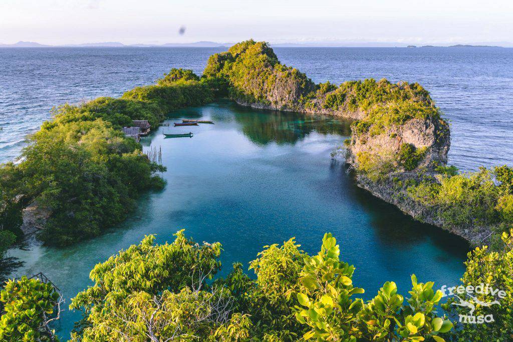 Freedive Trip to Raja Ampat