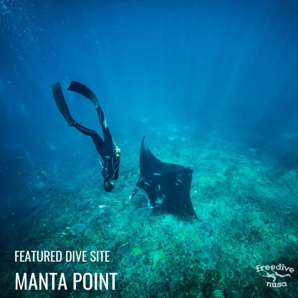 Manta Point