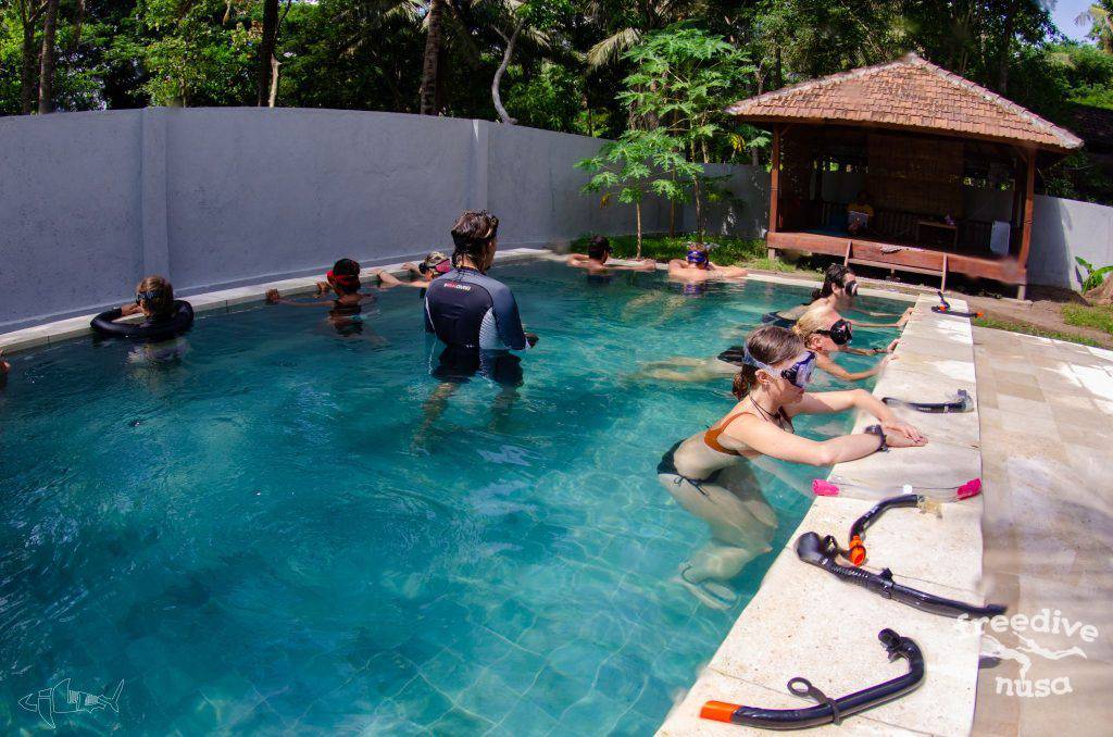 Freedive Nusa Freediving School