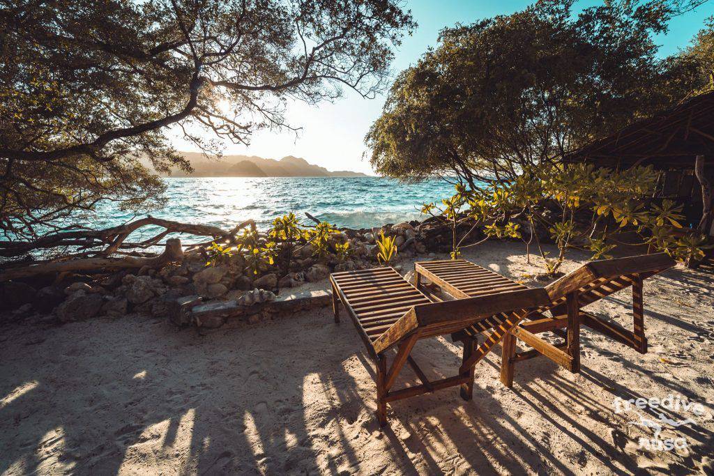 Freedive Trip to Raja Ampat