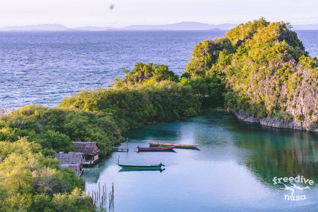 Freedive Trip to Raja Ampat