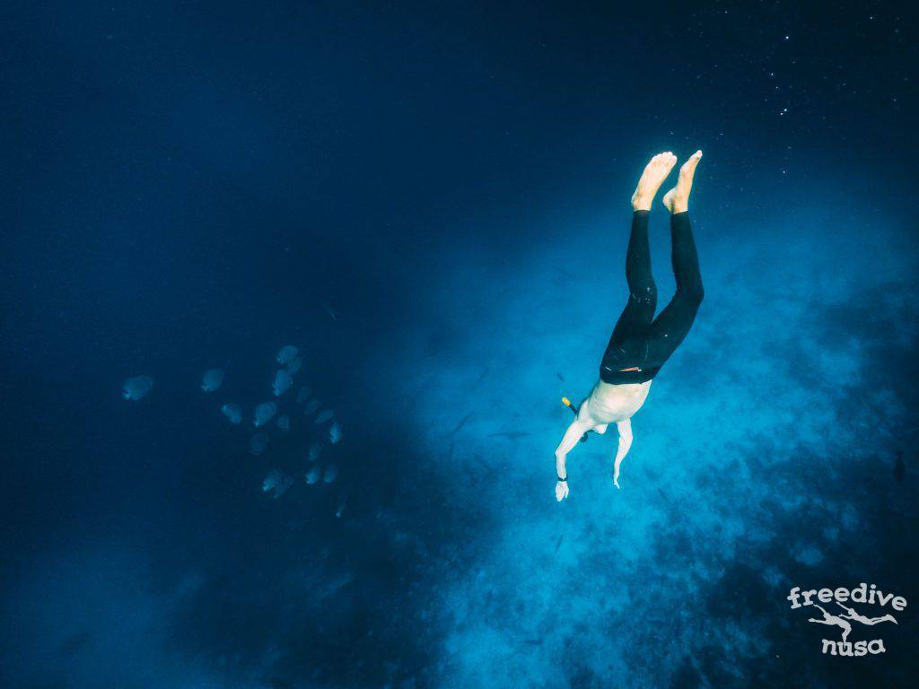 Freedive Trip to Raja Ampat