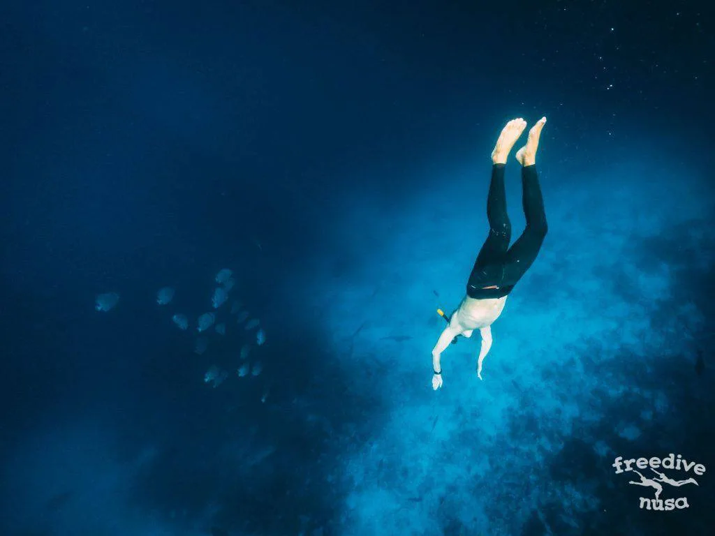 Freedive Trip to Raja Ampat