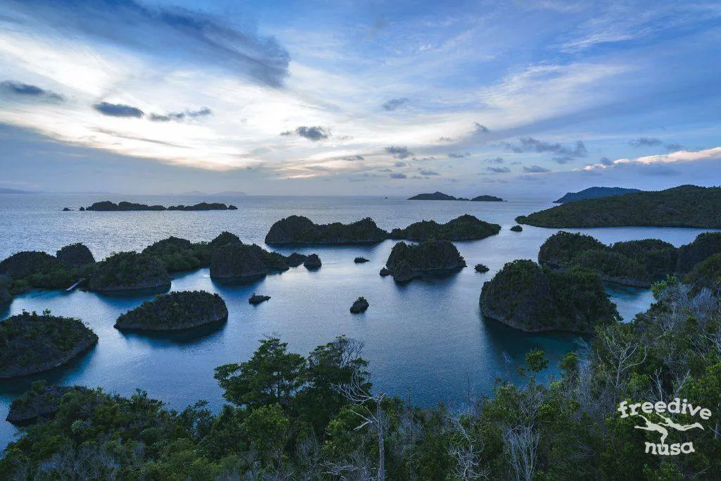 Freedive Trip to Raja Ampat