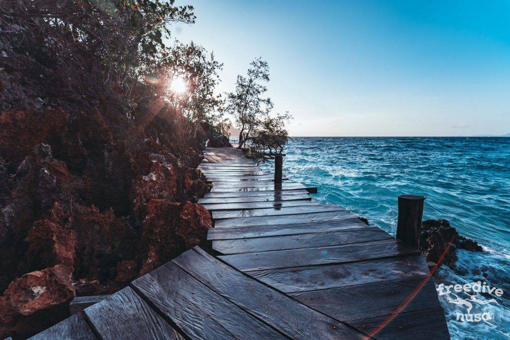 Freedive Trip to Raja Ampat