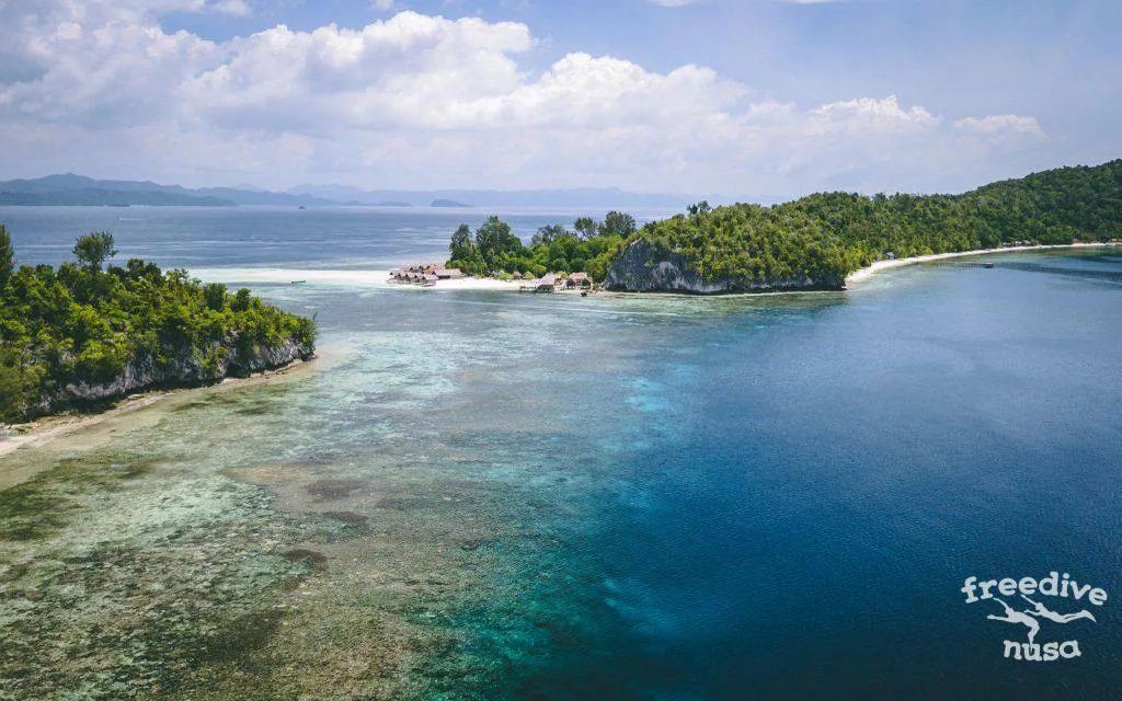 Freedive Trip to Raja Ampat