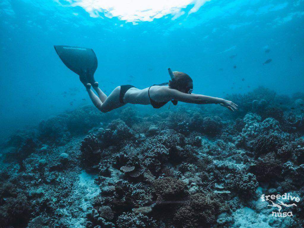 Freedive Trip to Raja Ampat